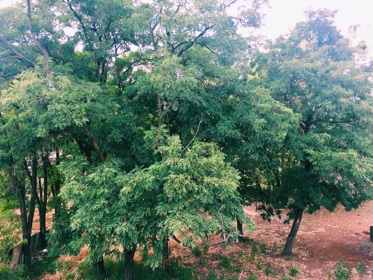 Hostel Darnitsa1 เคียฟ ภายนอก รูปภาพ
